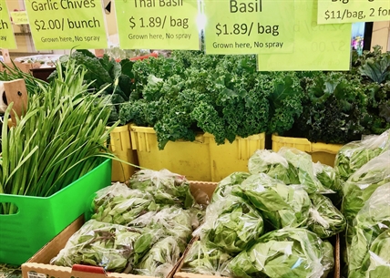 Owner of Oriental Supermarket plans to open independent grocery store in Kelowna’s North End | iNwine