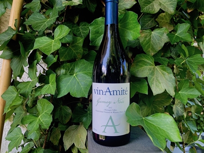 in Wine Wednesday: vinAmité Gamay Noir | iNwine