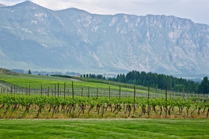 iN WINE: Adventure to the Kootenays | iNwine