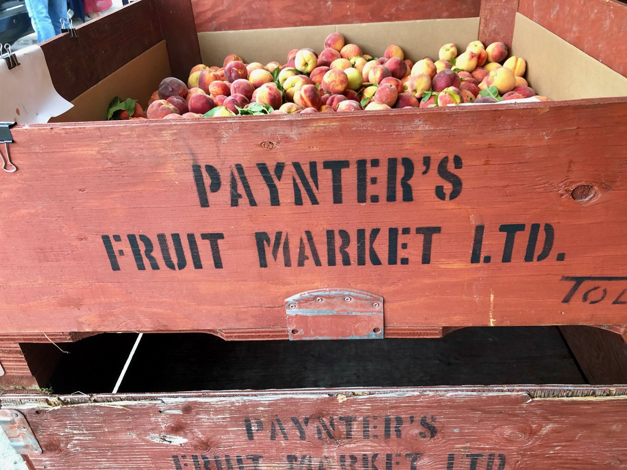 iN WINE Farmer Friday: Jennay Oliver, Paynter’s Fruit Market | iNwine