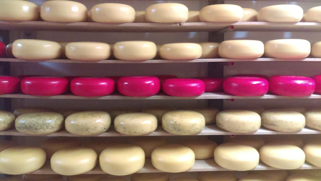iN WINE: Seven delicious BC cheeses you need to eat | iNwine