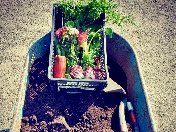 Farmer Friday: Meet Jordan Marr from Unearthed Farms – Fine Veggies & Herbs | iNwine