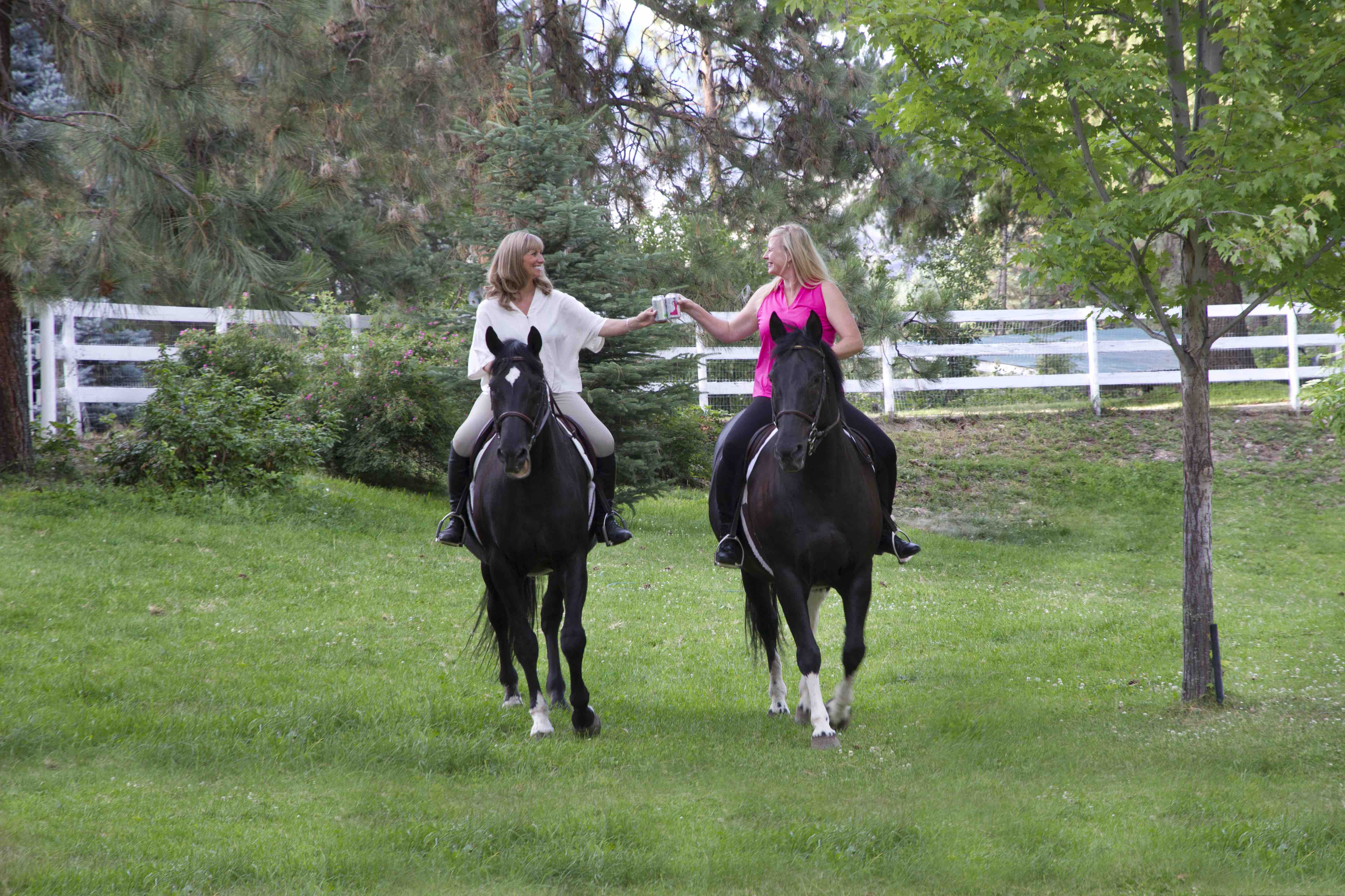 Sparkling wine in a can? The Okanagan has some of the best | iNwine