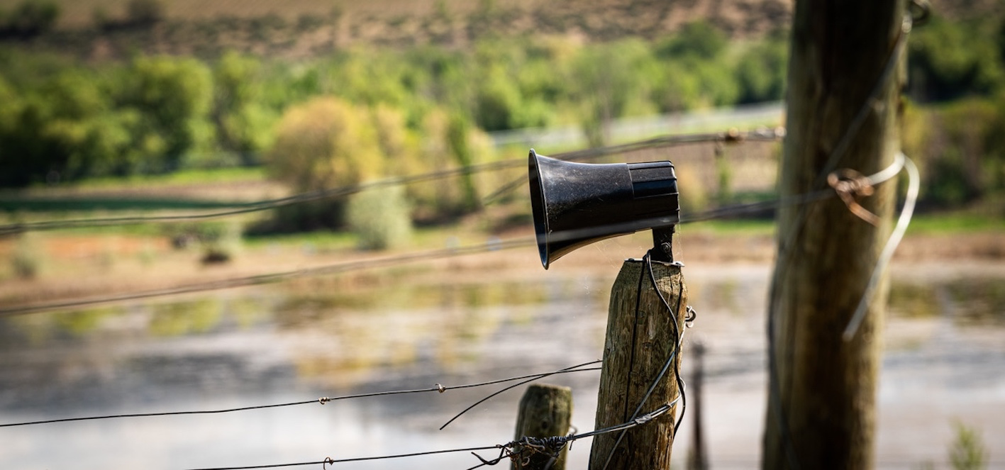 Why this Okanagan wine maker has 13 speakers in the vineyard | iNwine Why this Okanagan wine maker has 13 speakers in the vineyard | iNwine