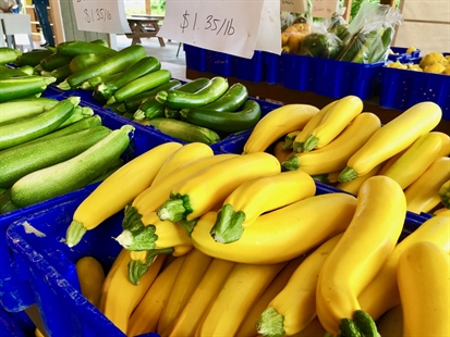 iN Season: A delicious zucchini loaf recipe to make now | iNwine
