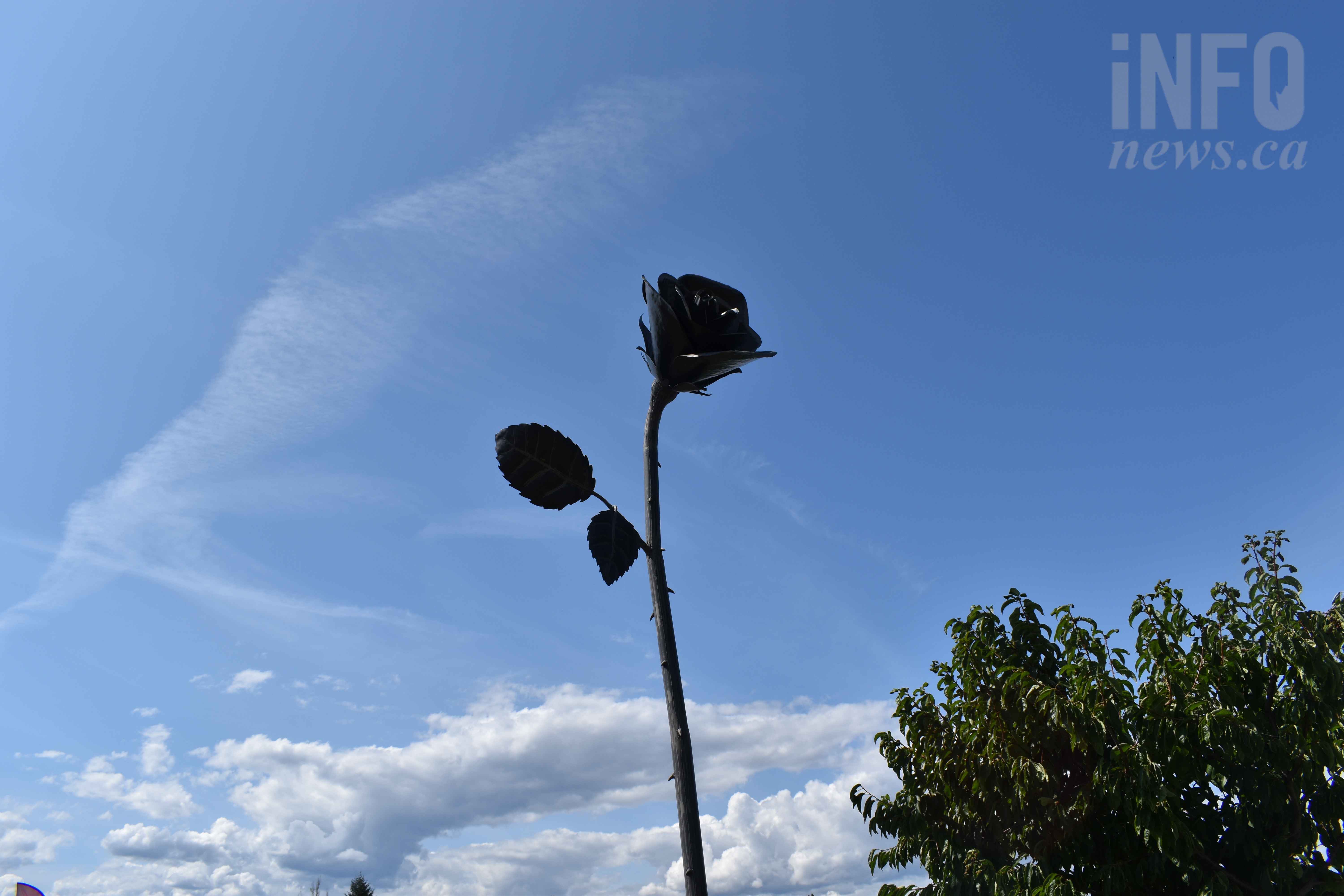 This rose by any other name would smell as sweet, thanks to Vern | iNwine