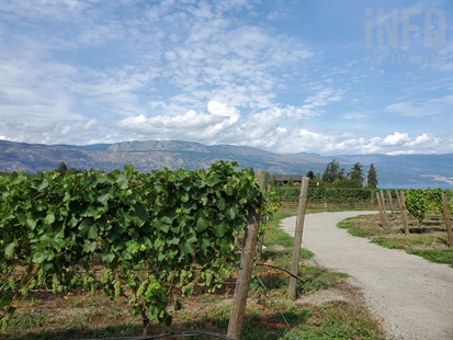 Big changes coming for Lake Country’s O’Rourke Peak Cellars | iNwine Big changes coming for Lake Country’s O’Rourke Peak Cellars | iNwine