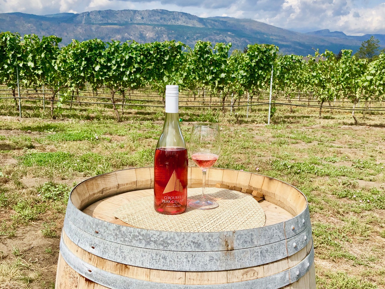 iN VIDEO: O’Rourke Peak Cellars serves up garden to table cuisine | iNwine