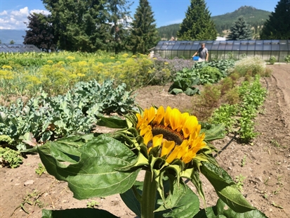 iN VIDEO: O’Rourke Peak Cellars serves up garden to table cuisine | iNwine