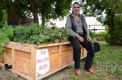 Lumby man has a plan to provide easy access to fresh, organic vegetables | iNwine Lumby man has a plan to provide easy access to fresh, organic vegetables | iNwine