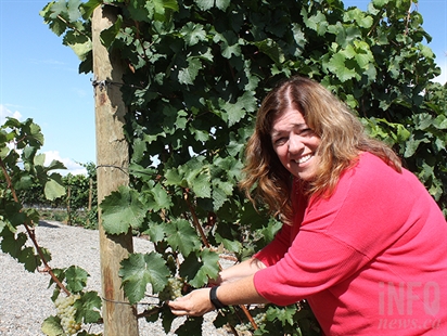 Weather struck a balance in valley vineyards this year | iNwine