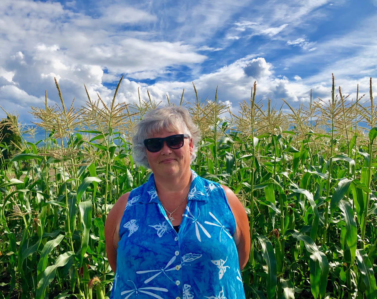 Where to get the best corn in the Okanagan | iNwine Where to get the best corn in the Okanagan | iNwine