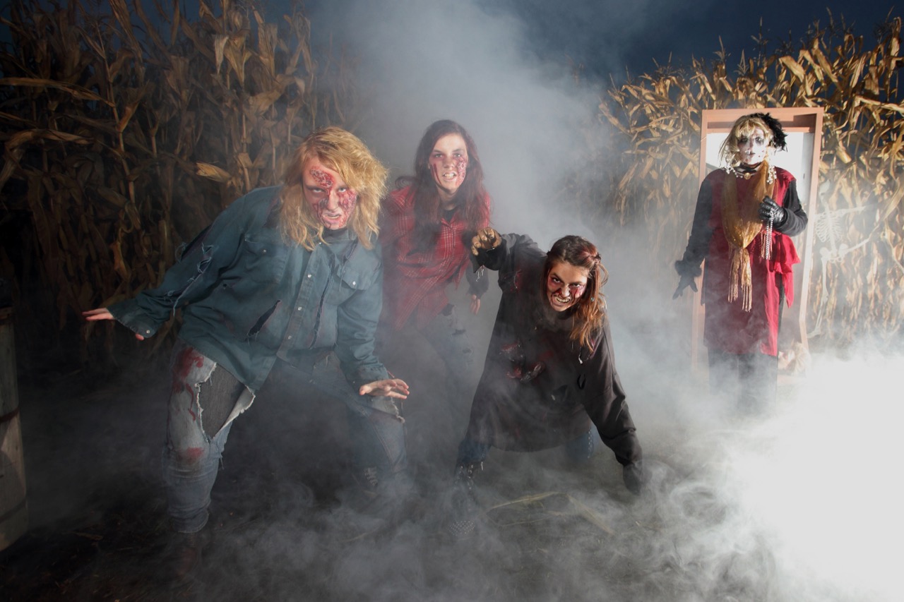 It isn’t autumn without pumpkins, corn mazes and hay rides | iNwine