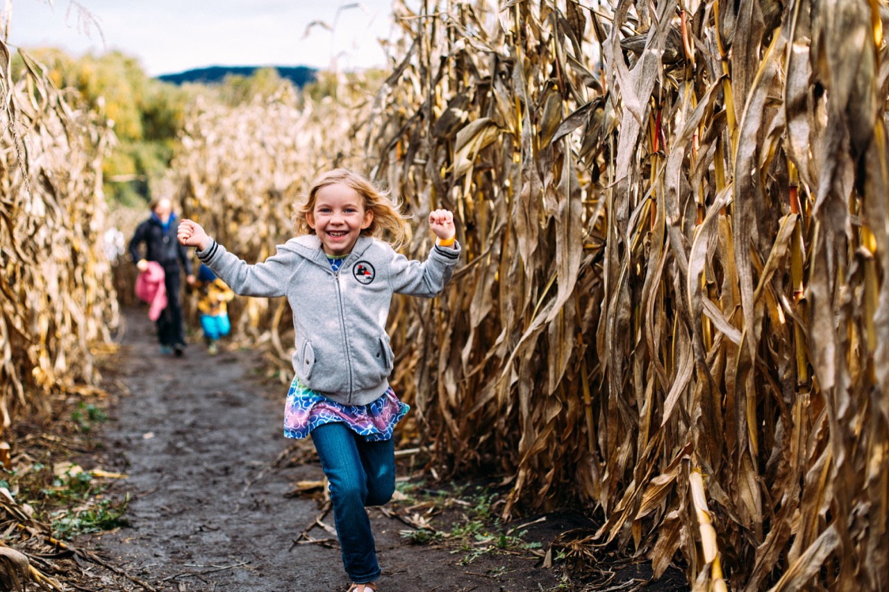 It isn’t autumn without pumpkins, corn mazes and hay rides | iNwine