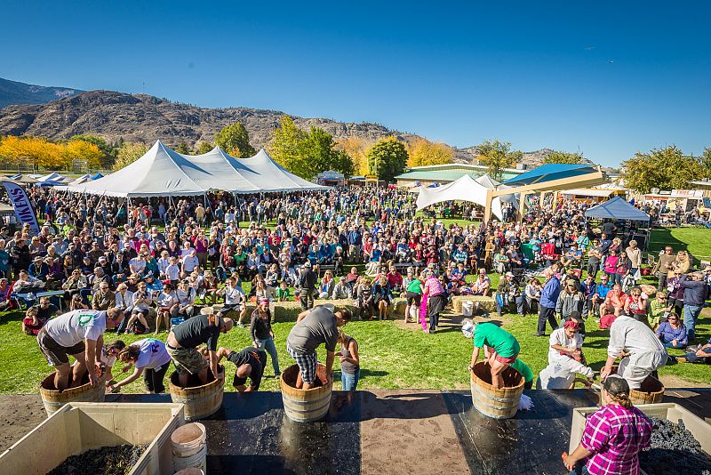 Three Okanagan Fall Festivals not to miss | iNwine