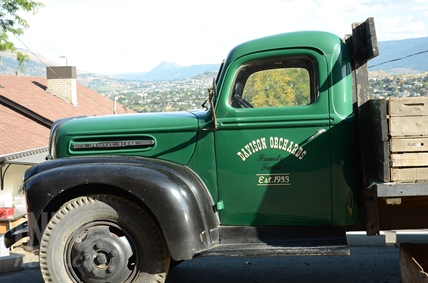 ‘My whole life has been in apples:’ Davison Orchards from humble beginning to busy tourist spot | iNwine