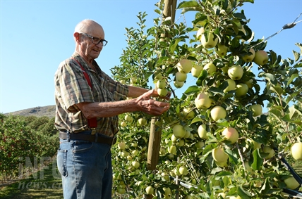 ‘My whole life has been in apples:’ Davison Orchards from humble beginning to busy tourist spot | iNwine