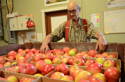 ‘My whole life has been in apples:’ Davison Orchards from humble beginning to busy tourist spot | iNwine