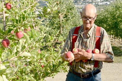 ‘My whole life has been in apples:’ Davison Orchards from humble beginning to busy tourist spot | iNwine