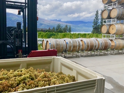 O’Rourke Family Estates: Canada’s most exciting winery project | iNwine