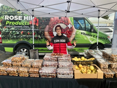 Farmers market shopping tips for Thanksgiving weekend | iNwine Farmers market shopping tips for Thanksgiving weekend | iNwine