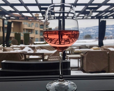 Small Okanagan grape harvest may be due to more than the heat dome | iNwine Small Okanagan grape harvest may be due to more than the heat dome | iNwine