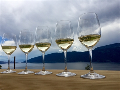 Grüner Veltliner is IN – 5 B.C. Grüners you must try now | iNwine Grüner Veltliner is IN – 5 B.C. Grüners you must try now | iNwine