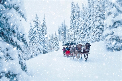 A picture perfect wonderland at SilverStar Mountain Resort | iNwine A picture perfect wonderland at SilverStar Mountain Resort | iNwine