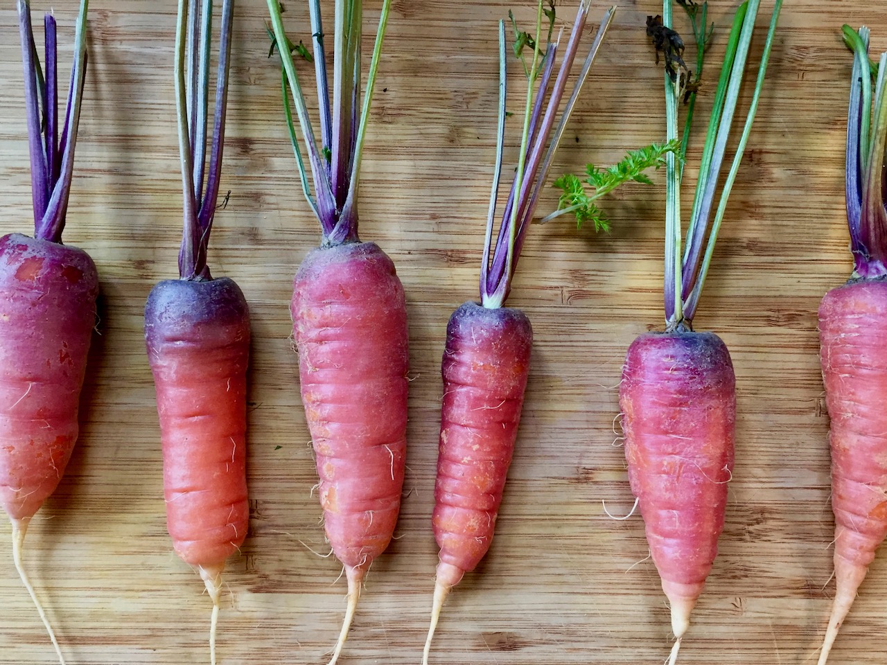 Breaking down the food trends for 2020 | iNwine Breaking down the food trends for 2020 | iNwine