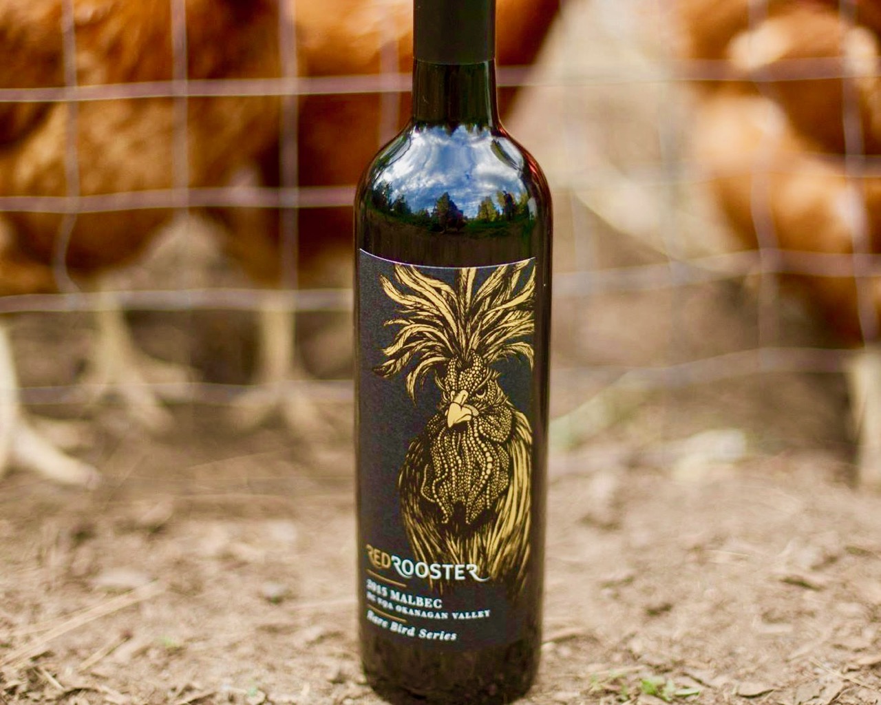 10 MORE B.C. wine varieties to try in 2020 | iNwine