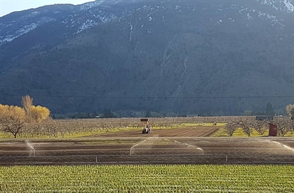 CLOSER TO HOME: Kamloops, Okanagan turn to small farms for locally-sourced food | iNwine