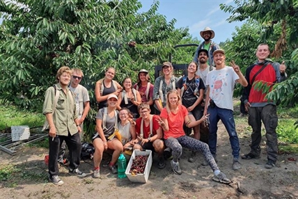 B.C. orchardists fear summer labour shortage due to COVID-19 pandemic | iNwine