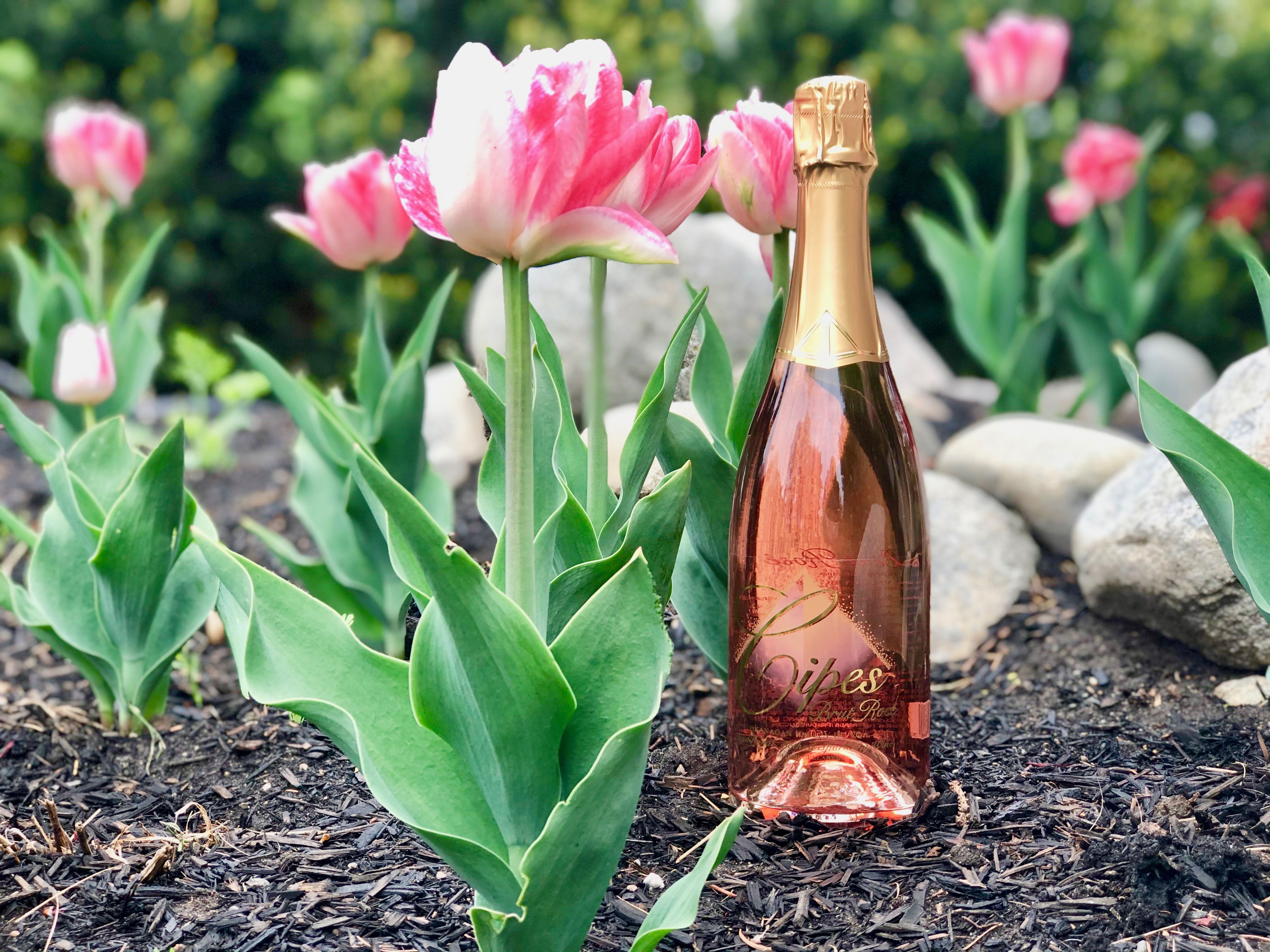 Some beautiful B.C. wines perfect for celebrating your amazing mom this weekend | iNwine