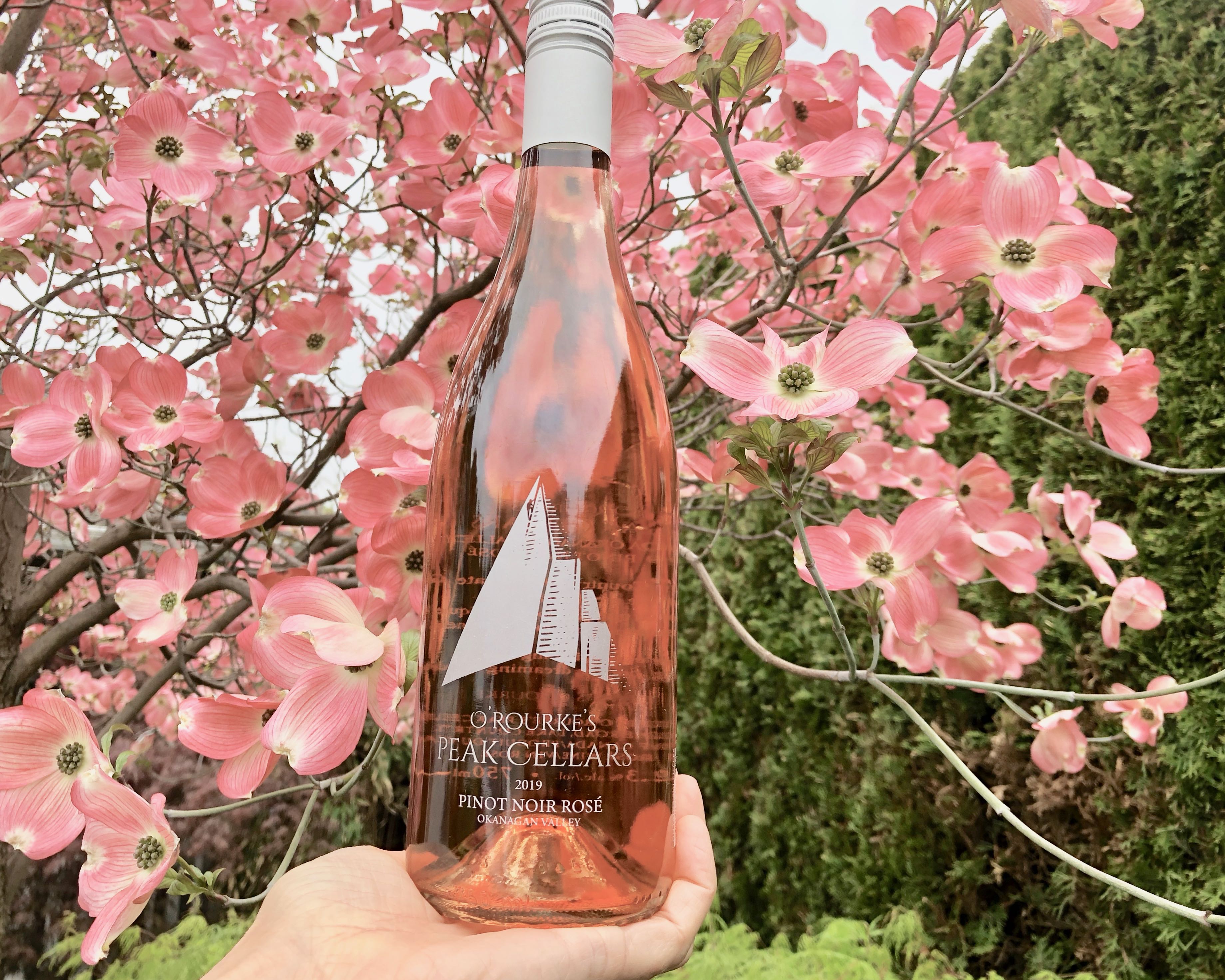Some beautiful B.C. wines perfect for celebrating your amazing mom this weekend | iNwine