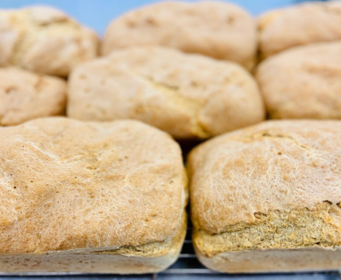 Kelowna couple used pandemic shutdown to rebrand and expand their vegan bakery | iNwine