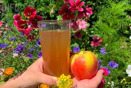 From branch to bottle: Must-see cideries in the Okanagan and Kamloops | iNwine