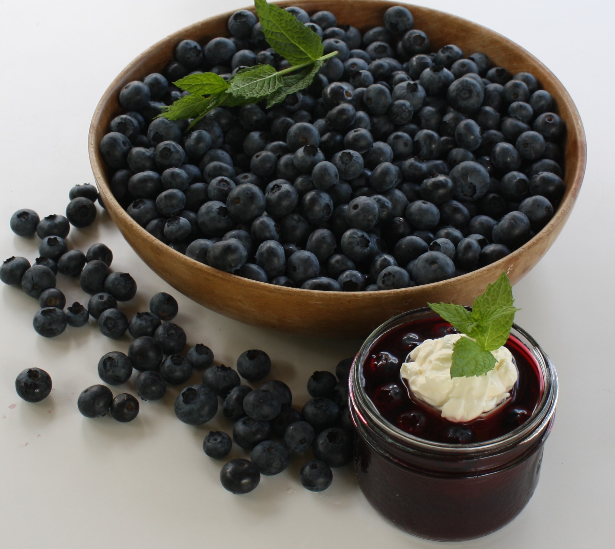 Celebrate Canada’s blueberry with this easy summer dessert | iNwine