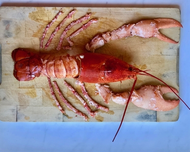 Summer cooking adventures: Lobster & steak, please | iNwine