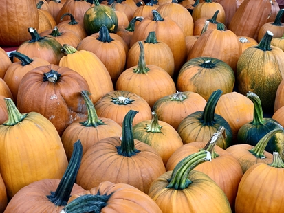 Put this Vegetable Stew on the menu for fall | iNwine