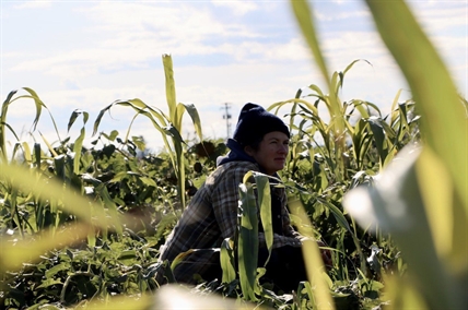 Young farmers in B.C. hope new funding will grow their ranks | iNwine Young farmers in B.C. hope new funding will grow their ranks | iNwine