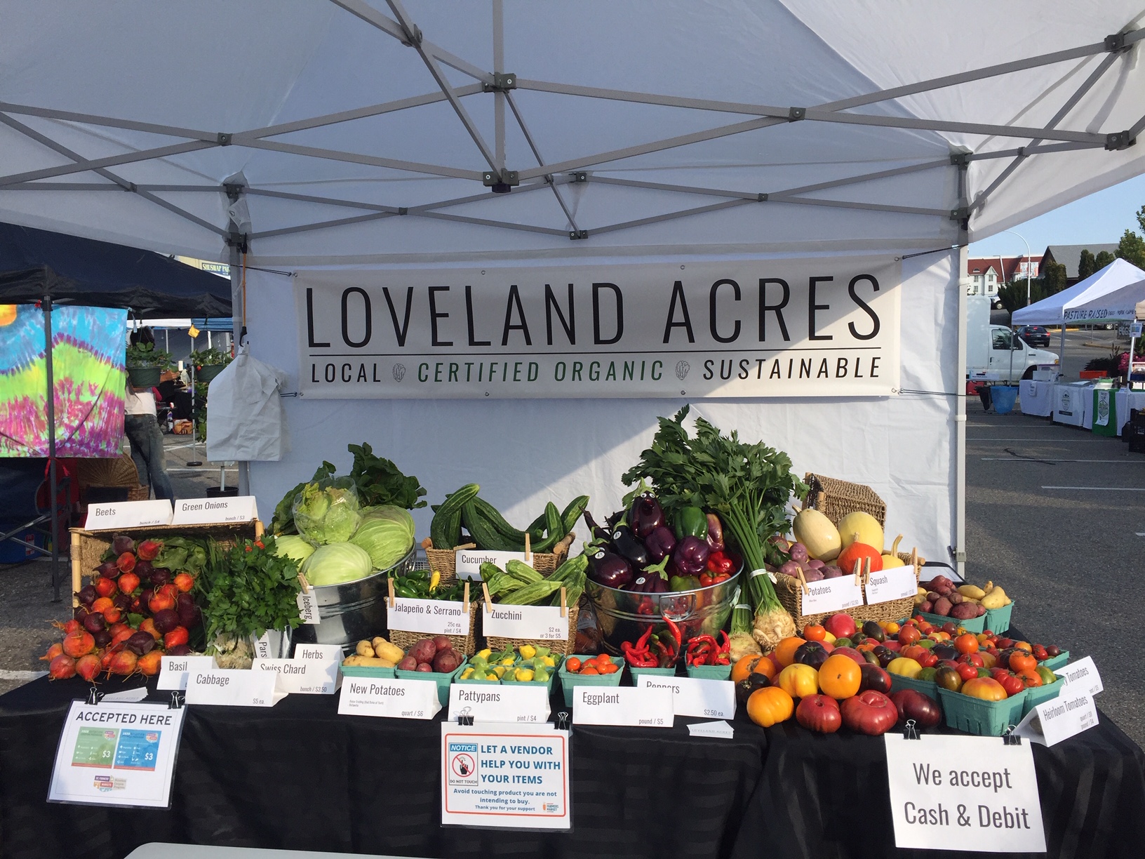 Young farmers pursuing leases for expensive Okanagan farmland | iNwine