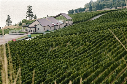 New restaurant opening at Greata Ranch | iNwine