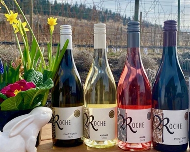 iNwine Wednesday: Roche Wines Rosé | iNwine