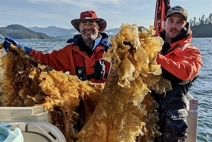 Seaweed cultivation is a growing trend on Canada’s West Coast | iNwine Seaweed cultivation is a growing trend on Canada’s West Coast | iNwine