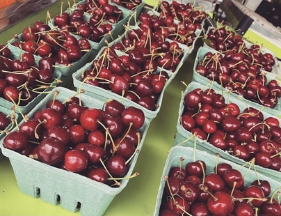 Okanagan cherry crop ‘looking very good’ as first fruit of season ready in Osoyoos | iNwine