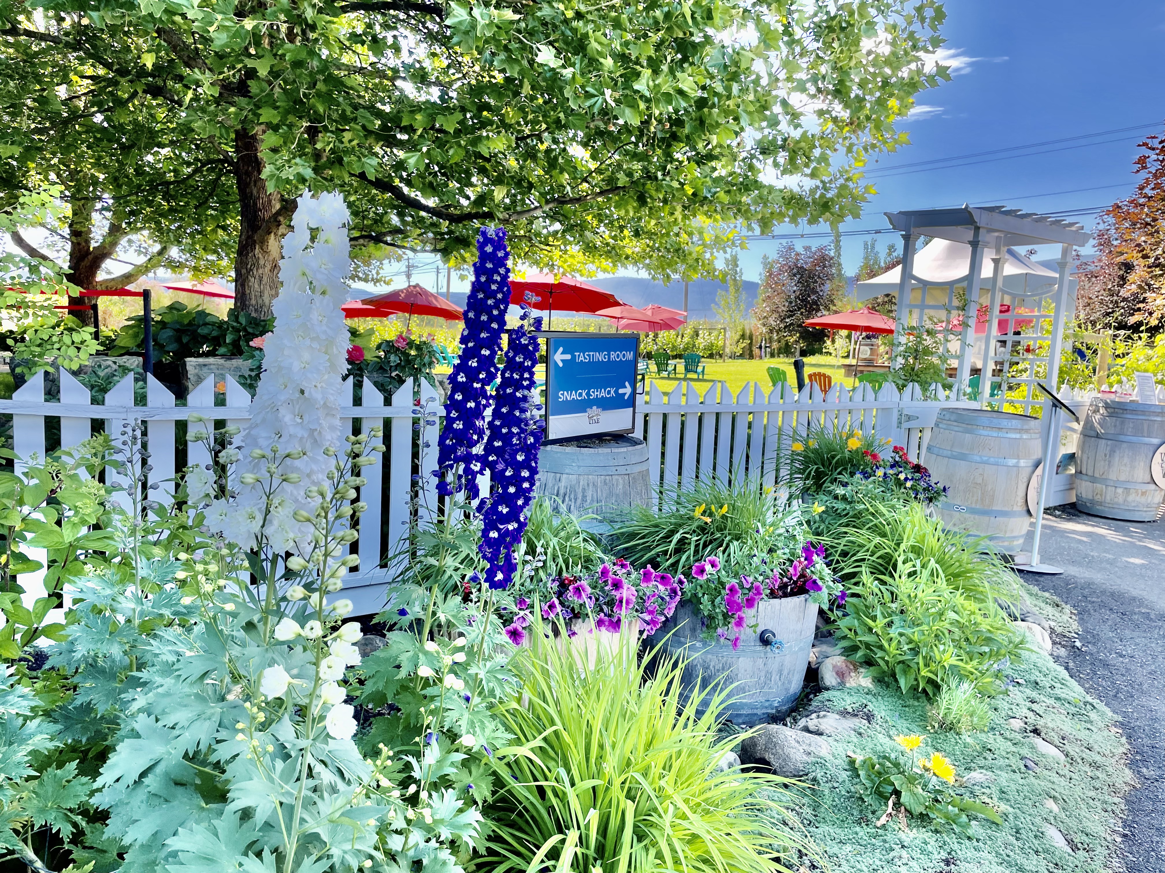 Vibrant Vine Winery: Wine, art, music | iNwine