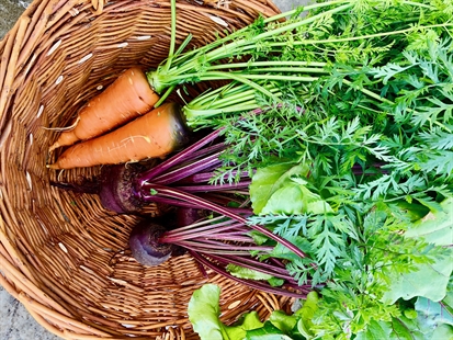 RECIPE: Turn up the beet! Make this unique and delicious beet salad this weekend | iNwine