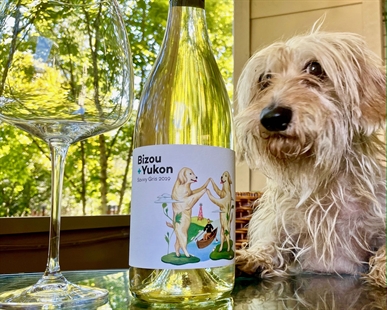 Wine of the Week: Bizou + Yukon Savvy Gris | iNwine