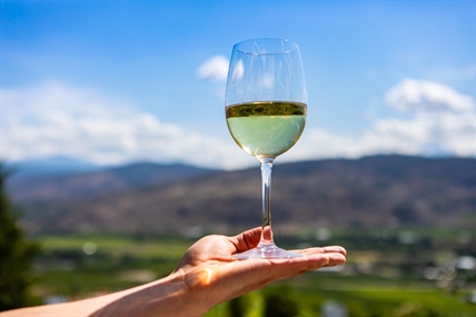The Wines of Okanagan Falls | iNwine The Wines of Okanagan Falls | iNwine