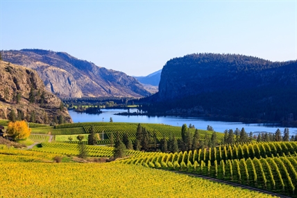 The Wines of Okanagan Falls | iNwine The Wines of Okanagan Falls | iNwine